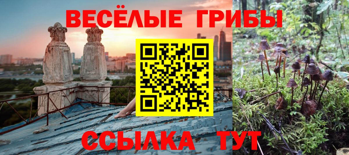 Псилоцибиновые грибы ЛСД  Вход с VPN  наркотики  Балашов 