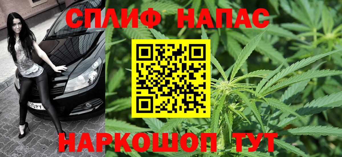 Балашов  Каннабис тримм  Канабис планчик  Шишки марихуана ГИДРОПОН  Вход с VPN  МАРИХУАНА MAZAR 